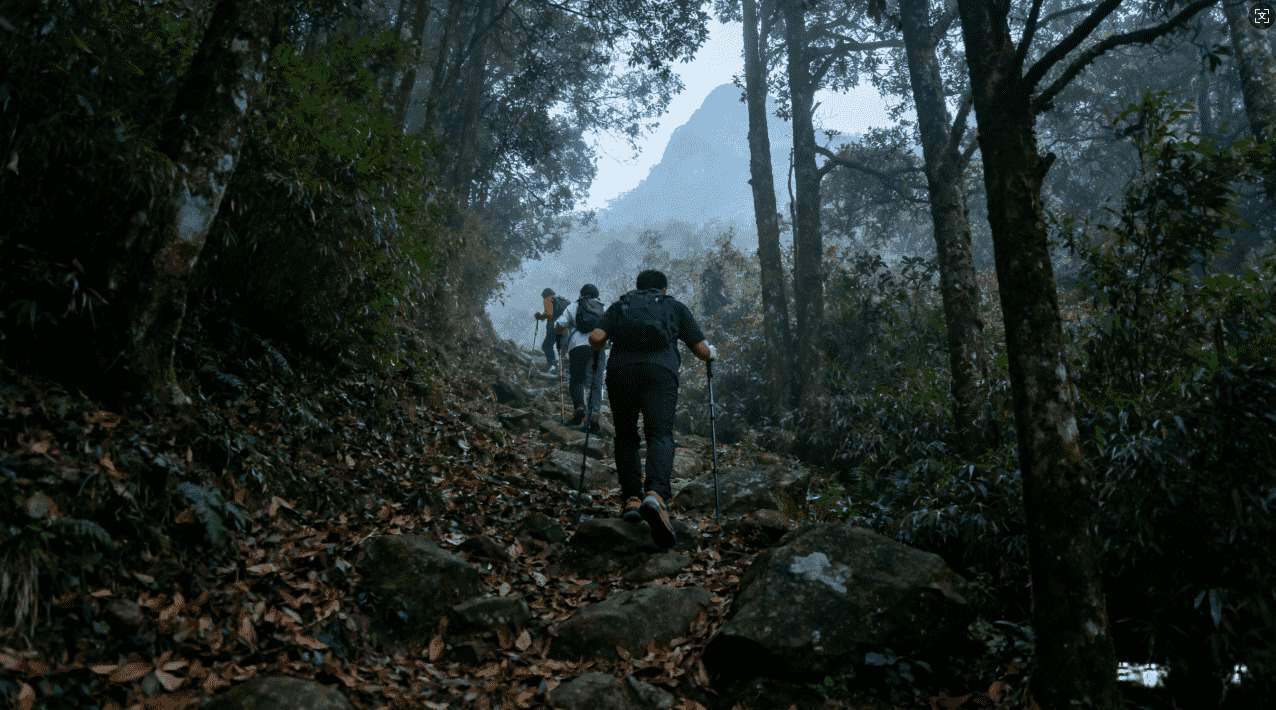 暴喵加速器常用文件名大全推荐